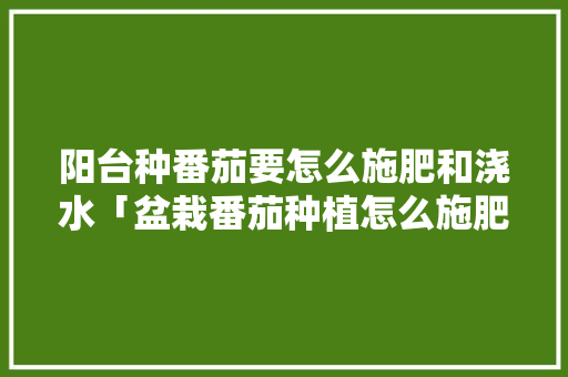 阳台种番茄要怎么施肥和浇水「盆栽番茄种植怎么施肥视频」 阳台种番茄要怎么施肥和浇水「盆栽番茄种植怎么施肥视频」 番茄种植技巧