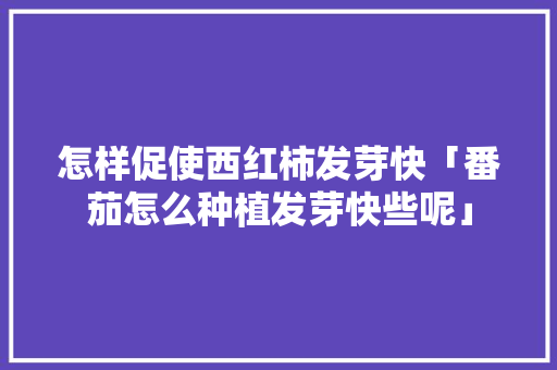 怎样促使西红柿发芽快「番茄怎么种植发芽快些呢」 怎样促使西红柿发芽快「番茄怎么种植发芽快些呢」 土壤施肥