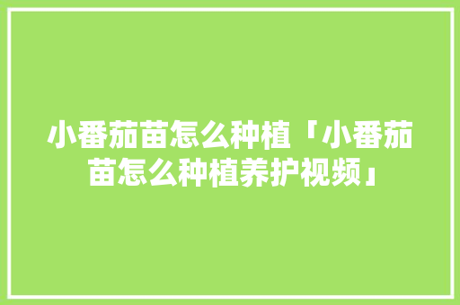 小番茄苗怎么种植「小番茄苗怎么种植养护视频」 小番茄苗怎么种植「小番茄苗怎么种植养护视频」 种植技巧