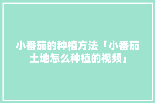小番茄的种植方法「小番茄土地怎么种植的视频」 小番茄的种植方法「小番茄土地怎么种植的视频」 番茄病虫害防治