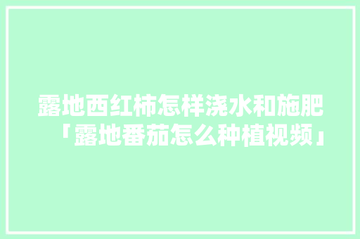 露地西红柿怎样浇水和施肥「露地番茄怎么种植视频」 露地西红柿怎样浇水和施肥「露地番茄怎么种植视频」 番茄病虫害防治