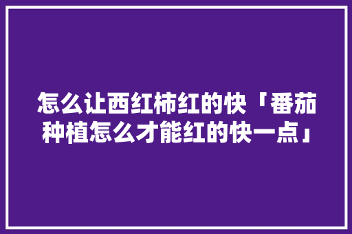 怎么让西红柿红的快「番茄种植怎么才能红的快一点」 怎么让西红柿红的快「番茄种植怎么才能红的快一点」 土壤施肥