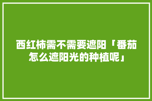 西红柿需不需要遮阳「番茄怎么遮阳光的种植呢」 西红柿需不需要遮阳「番茄怎么遮阳光的种植呢」 农业常识