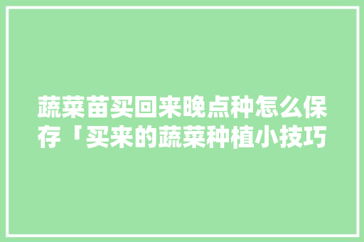 蔬菜苗买回来晚点种怎么保存「买来的蔬菜种植小技巧有哪些」 蔬菜苗买回来晚点种怎么保存「买来的蔬菜种植小技巧有哪些」 农业常识