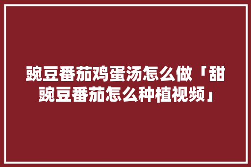 豌豆番茄鸡蛋汤怎么做「甜豌豆番茄怎么种植视频」 豌豆番茄鸡蛋汤怎么做「甜豌豆番茄怎么种植视频」 农业常识
