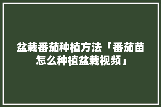 盆栽番茄种植方法「番茄苗怎么种植盆栽视频」 盆栽番茄种植方法「番茄苗怎么种植盆栽视频」 土壤施肥