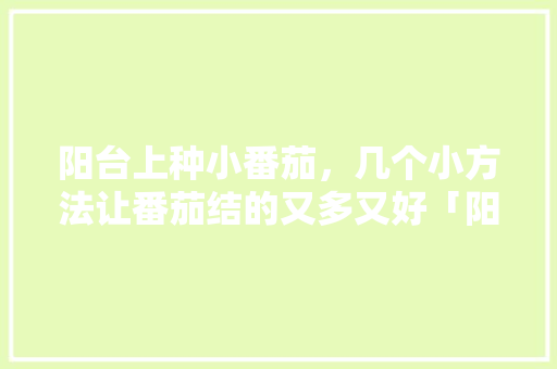 阳台上种小番茄，几个小方法让番茄结的又多又好「阳台上怎么种植小番茄视频」 阳台上种小番茄，几个小方法让番茄结的又多又好「阳台上怎么种植小番茄视频」 种植技巧
