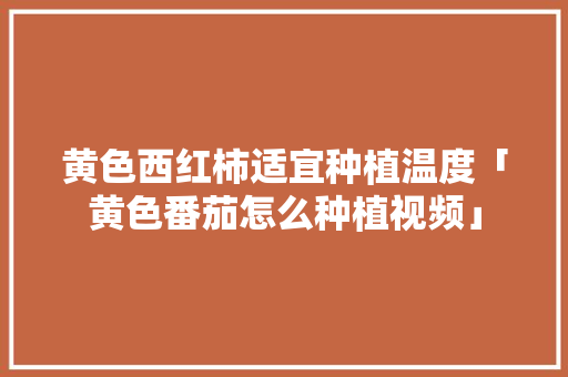 黄色西红柿适宜种植温度「黄色番茄怎么种植视频」 黄色西红柿适宜种植温度「黄色番茄怎么种植视频」 种植技巧