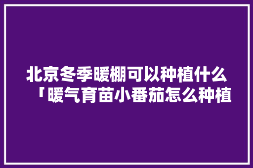 北京冬季暖棚可以种植什么「暖气育苗小番茄怎么种植的」 北京冬季暖棚可以种植什么「暖气育苗小番茄怎么种植的」 番茄种植技巧