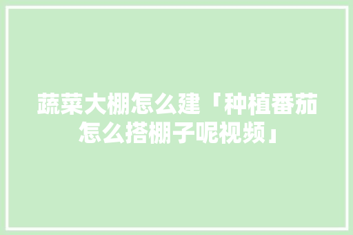 蔬菜大棚怎么建「种植番茄怎么搭棚子呢视频」