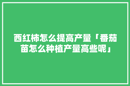 西红柿怎么提高产量「番茄苗怎么种植产量高些呢」 农业常识 西红柿怎么提高产量「番茄苗怎么种植产量高些呢」 西红柿怎么提高产量「番茄苗怎么种植产量高些呢」 农业常识