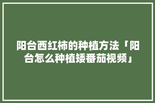 阳台西红柿的种植方法「阳台怎么种植矮番茄视频」 阳台西红柿的种植方法「阳台怎么种植矮番茄视频」 种植技巧