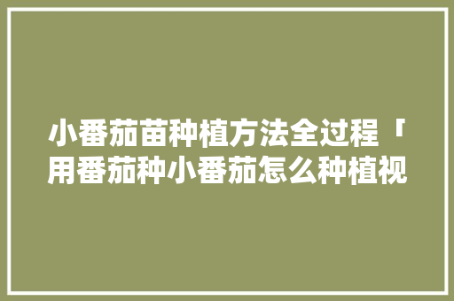 小番茄苗种植方法全过程「用番茄种小番茄怎么种植视频」 小番茄苗种植方法全过程「用番茄种小番茄怎么种植视频」 种植技巧