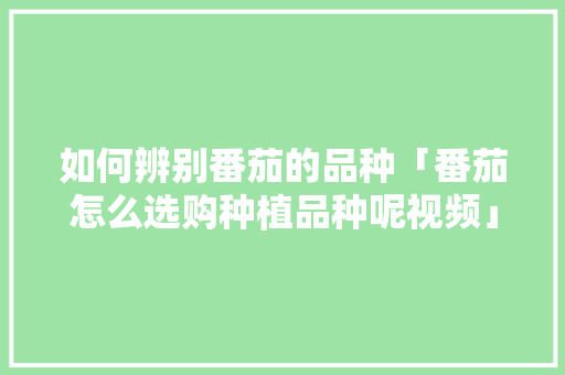 如何辨别番茄的品种「番茄怎么选购种植品种呢视频」 如何辨别番茄的品种「番茄怎么选购种植品种呢视频」 种植技巧