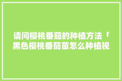 请问樱桃番茄的种植方法「黑色樱桃番茄苗怎么种植视频」 请问樱桃番茄的种植方法「黑色樱桃番茄苗怎么种植视频」 植物种类