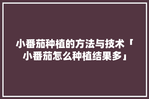 小番茄种植的方法与技术「小番茄怎么种植结果多」 小番茄种植的方法与技术「小番茄怎么种植结果多」 番茄种植技巧