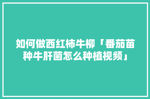 如何做西红柿牛柳「番茄苗种牛肝菌怎么种植视频」