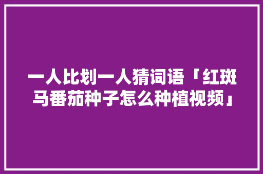 一人比划一人猜词语「红斑马番茄种子怎么种植视频」