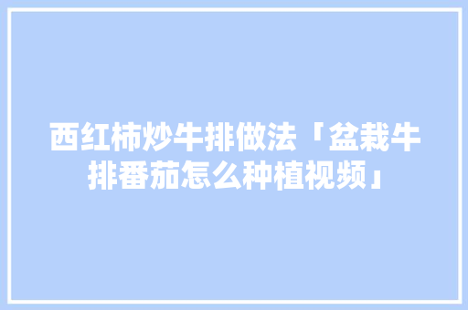 西红柿炒牛排做法「盆栽牛排番茄怎么种植视频」