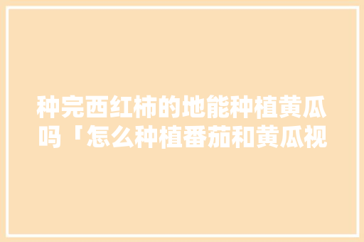 种完西红柿的地能种植黄瓜吗「怎么种植番茄和黄瓜视频」 种完西红柿的地能种植黄瓜吗「怎么种植番茄和黄瓜视频」 农业常识
