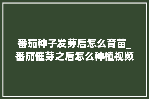 番茄种子发芽后怎么育苗_番茄催芽之后怎么种植视频 番茄种子发芽后怎么育苗_番茄催芽之后怎么种植视频 农业常识
