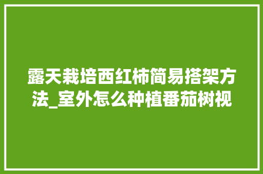 露天栽培西红柿简易搭架方法_室外怎么种植番茄树视频 露天栽培西红柿简易搭架方法_室外怎么种植番茄树视频 农业常识