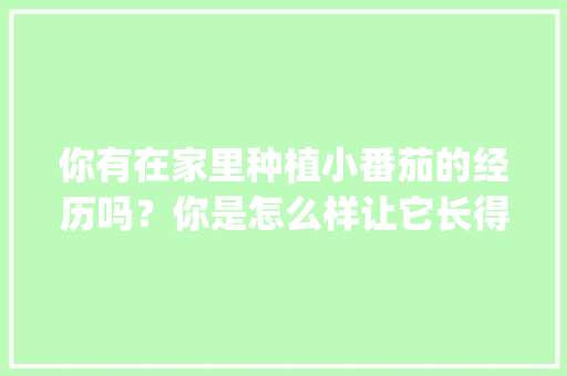 你有在家里种植小番茄的经历吗？你是怎么样让它长得更好的_番茄家庭怎么种植视频 你有在家里种植小番茄的经历吗？你是怎么样让它长得更好的_番茄家庭怎么种植视频 土壤施肥