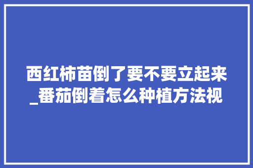 西红柿苗倒了要不要立起来_番茄倒着怎么种植方法视频 西红柿苗倒了要不要立起来_番茄倒着怎么种植方法视频 植物种类