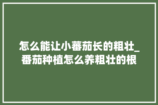 怎么能让小蕃茄长的粗壮_番茄种植怎么养粗壮的根 怎么能让小蕃茄长的粗壮_番茄种植怎么养粗壮的根 植物种类