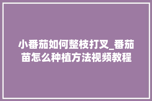小番茄如何整枝打叉_番茄苗怎么种植方法视频教程 小番茄如何整枝打叉_番茄苗怎么种植方法视频教程 番茄种植技巧