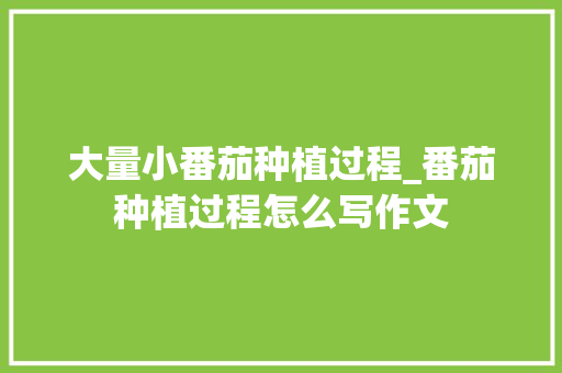 大量小番茄种植过程_番茄种植过程怎么写作文 大量小番茄种植过程_番茄种植过程怎么写作文 农业常识