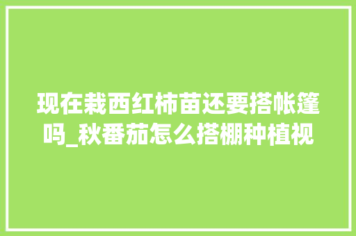 现在栽西红柿苗还要搭帐篷吗_秋番茄怎么搭棚种植视频 现在栽西红柿苗还要搭帐篷吗_秋番茄怎么搭棚种植视频 花朵知识