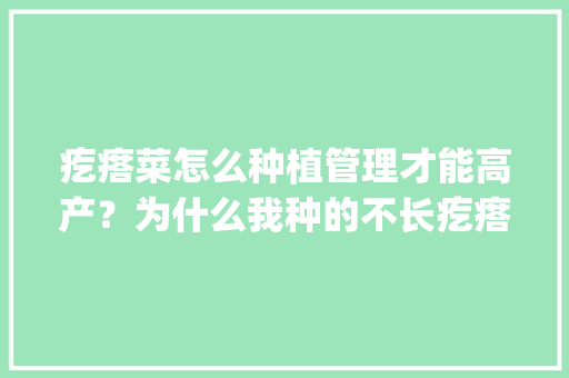 疙瘩菜怎么种植管理才能高产？为什么我种的不长疙瘩，光长叶子_精品蔬菜种植技巧图解视频 疙瘩菜怎么种植管理才能高产？为什么我种的不长疙瘩，光长叶子_精品蔬菜种植技巧图解视频 种植技巧