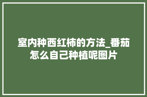 室内种西红柿的方法_番茄怎么自己种植呢图片 室内种西红柿的方法_番茄怎么自己种植呢图片 番茄病虫害防治