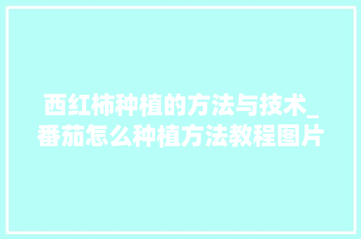 西红柿种植的方法与技术_番茄怎么种植方法教程图片 西红柿种植的方法与技术_番茄怎么种植方法教程图片 农业常识