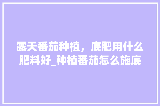 露天番茄种植，底肥用什么肥料好_种植番茄怎么施底肥好呢 露天番茄种植，底肥用什么肥料好_种植番茄怎么施底肥好呢 土壤施肥