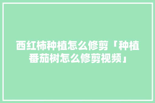 西红柿种植怎么修剪「种植番茄树怎么修剪视频」 西红柿种植怎么修剪「种植番茄树怎么修剪视频」 土壤施肥