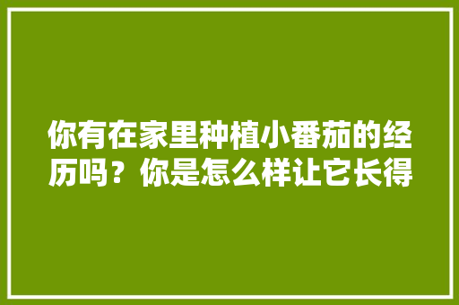你有在家里种植小番茄的经历吗？你是怎么样让它长得更好的「庭院种蕃茄」