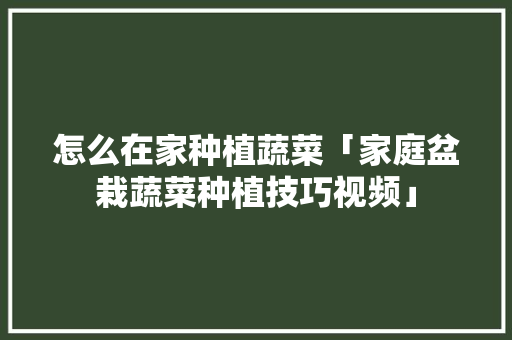怎么在家种植蔬菜「家庭盆栽蔬菜种植技巧视频」 怎么在家种植蔬菜「家庭盆栽蔬菜种植技巧视频」 番茄种植技巧