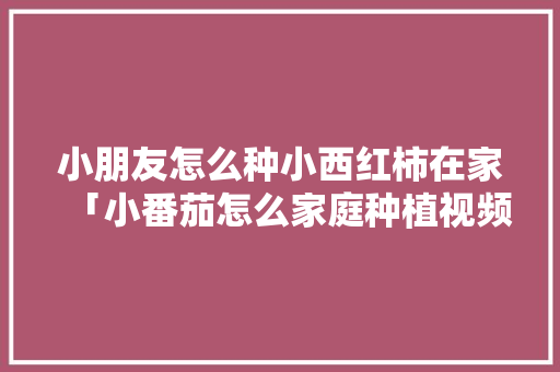 小朋友怎么种小西红柿在家「小番茄怎么家庭种植视频」 小朋友怎么种小西红柿在家「小番茄怎么家庭种植视频」 植物种类