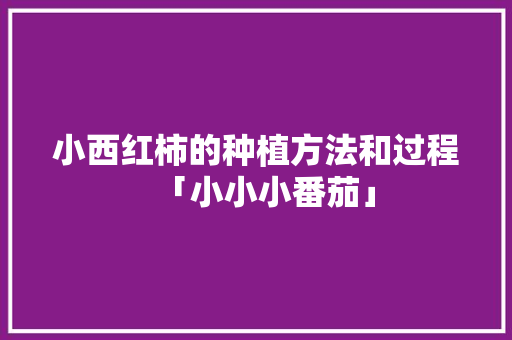 小西红柿的种植方法和过程「小小小番茄」 小西红柿的种植方法和过程「小小小番茄」 花朵知识