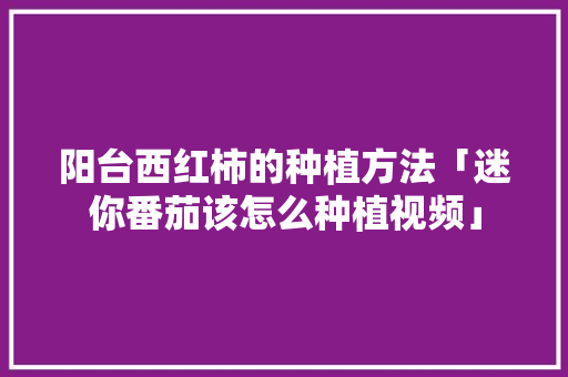 阳台西红柿的种植方法「迷你番茄该怎么种植视频」 阳台西红柿的种植方法「迷你番茄该怎么种植视频」 农业常识