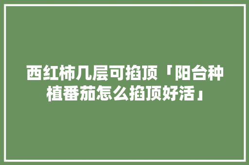 西红柿几层可掐顶「阳台种植番茄怎么掐顶好活」 番茄病虫害防治 西红柿几层可掐顶「阳台种植番茄怎么掐顶好活」 西红柿几层可掐顶「阳台种植番茄怎么掐顶好活」 番茄病虫害防治