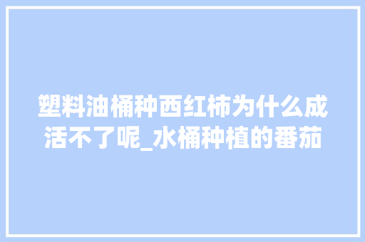 塑料油桶种西红柿为什么成活不了呢_水桶种植的番茄怎么种植的 塑料油桶种西红柿为什么成活不了呢_水桶种植的番茄怎么种植的 花朵知识