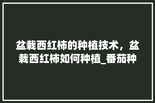 盆栽西红柿的种植技术，盆栽西红柿如何种植_番茄种植露台怎么种植视频 盆栽西红柿的种植技术，盆栽西红柿如何种植_番茄种植露台怎么种植视频 种植技巧