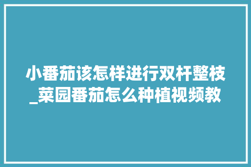 小番茄该怎样进行双杆整枝_菜园番茄怎么种植视频教程 小番茄该怎样进行双杆整枝_菜园番茄怎么种植视频教程 番茄种植技巧