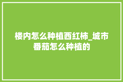 楼内怎么种植西红柿_城市番茄怎么种植的