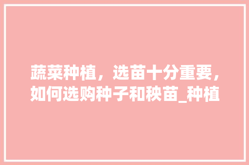 蔬菜种植，选苗十分重要，如何选购种子和秧苗_种植小技巧三农蔬菜种子怎么种 蔬菜种植，选苗十分重要，如何选购种子和秧苗_种植小技巧三农蔬菜种子怎么种 农业常识