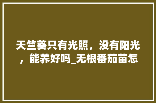 天竺葵只有光照，没有阳光，能养好吗_无根番茄苗怎么种植视频教程 天竺葵只有光照，没有阳光，能养好吗_无根番茄苗怎么种植视频教程 花朵知识