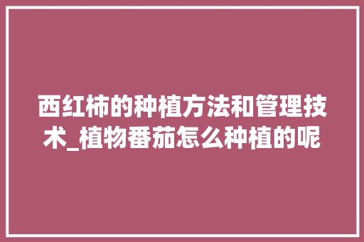 西红柿的种植方法和管理技术_植物番茄怎么种植的呢视频 西红柿的种植方法和管理技术_植物番茄怎么种植的呢视频 种植技巧